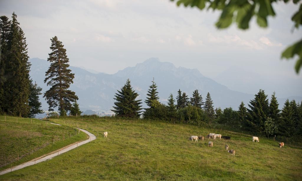 Panoramagasthof Auf Dem Auerberg Bernbeuren Kültér fotó