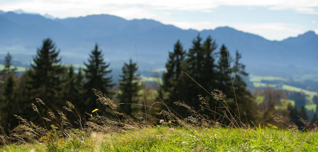 Panoramagasthof Auf Dem Auerberg Bernbeuren Kültér fotó